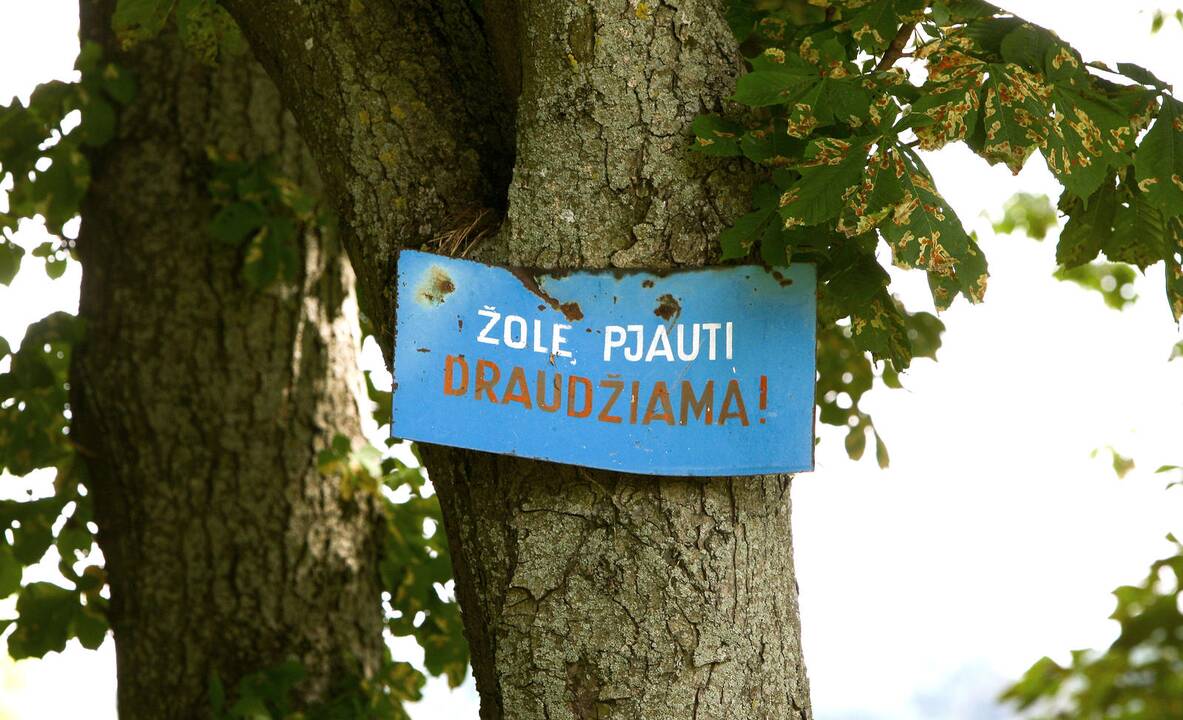 Šienavimo sezonas Kaune kainuos daugiau nei pusę milijono