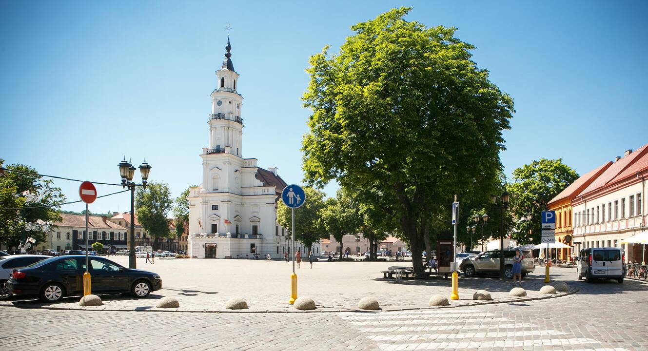 Rotušės aikštė – su drambliais ir stumbrais?