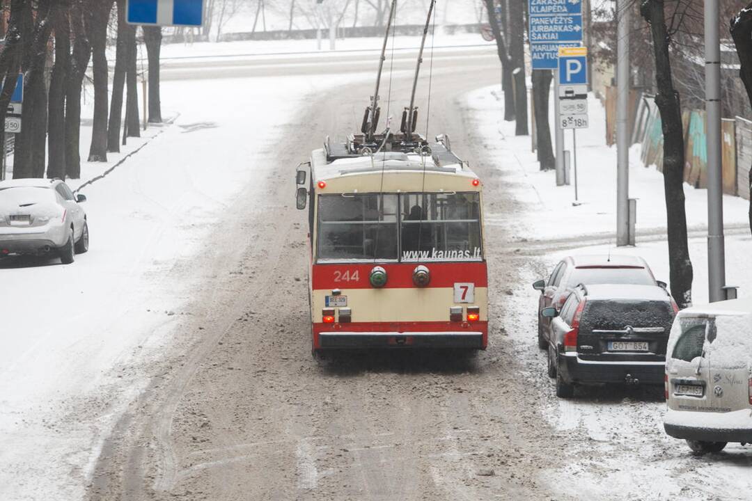 Apsnigtos Kauno gatvės