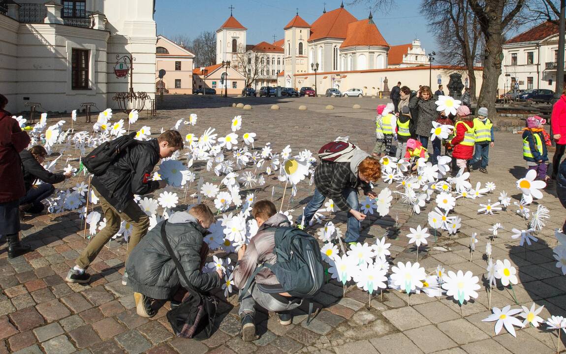 Ramunių rekordas tuberkuliozės dienai paminėti