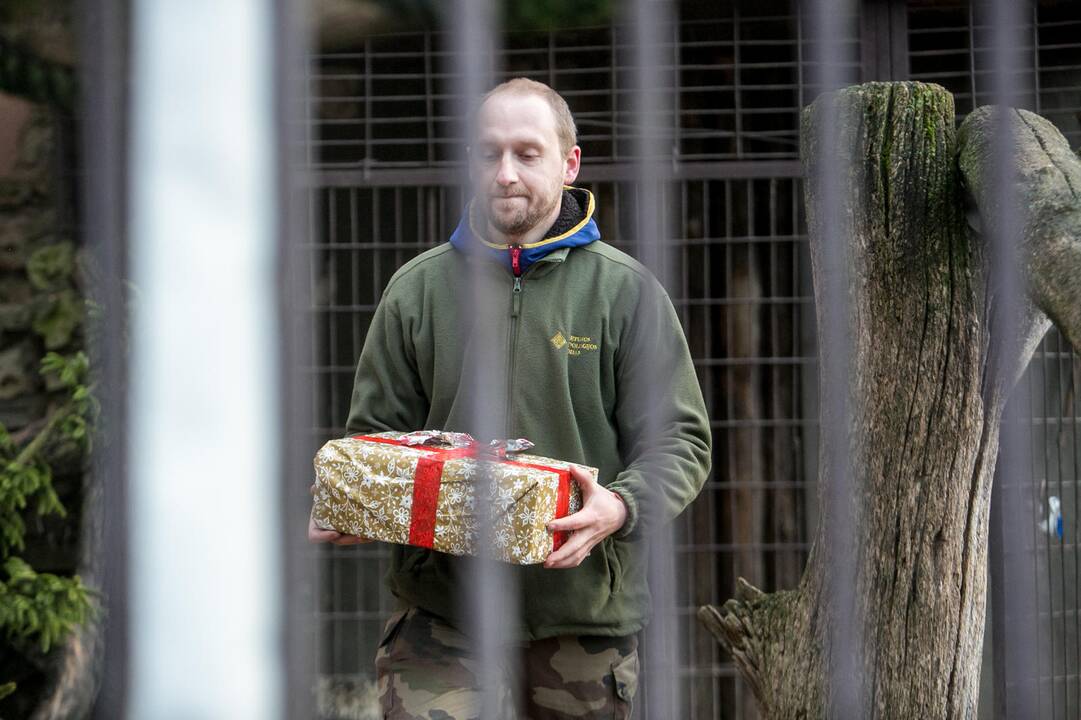 Gyvūnų Kalėdos zoologijos sode
