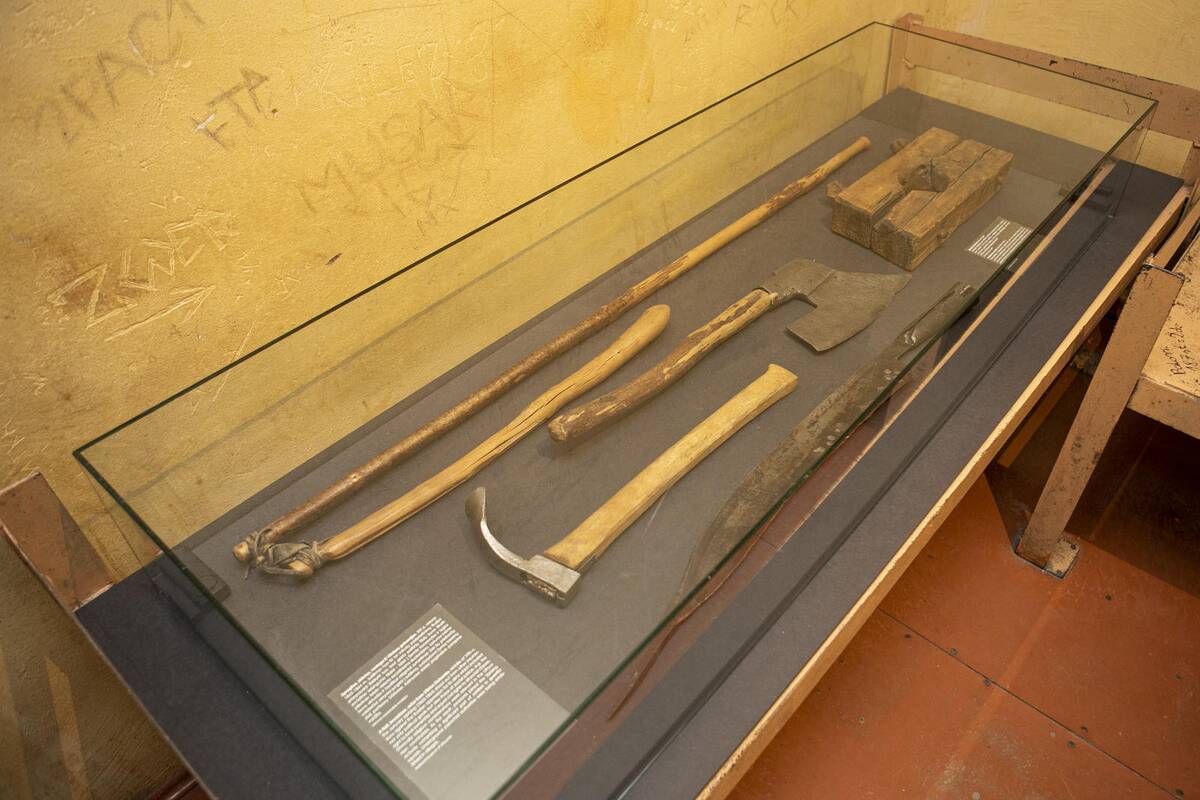 Parodos „Pažadinti: Gedimino kalne rastų sukilėlių istorija“ pristatymas