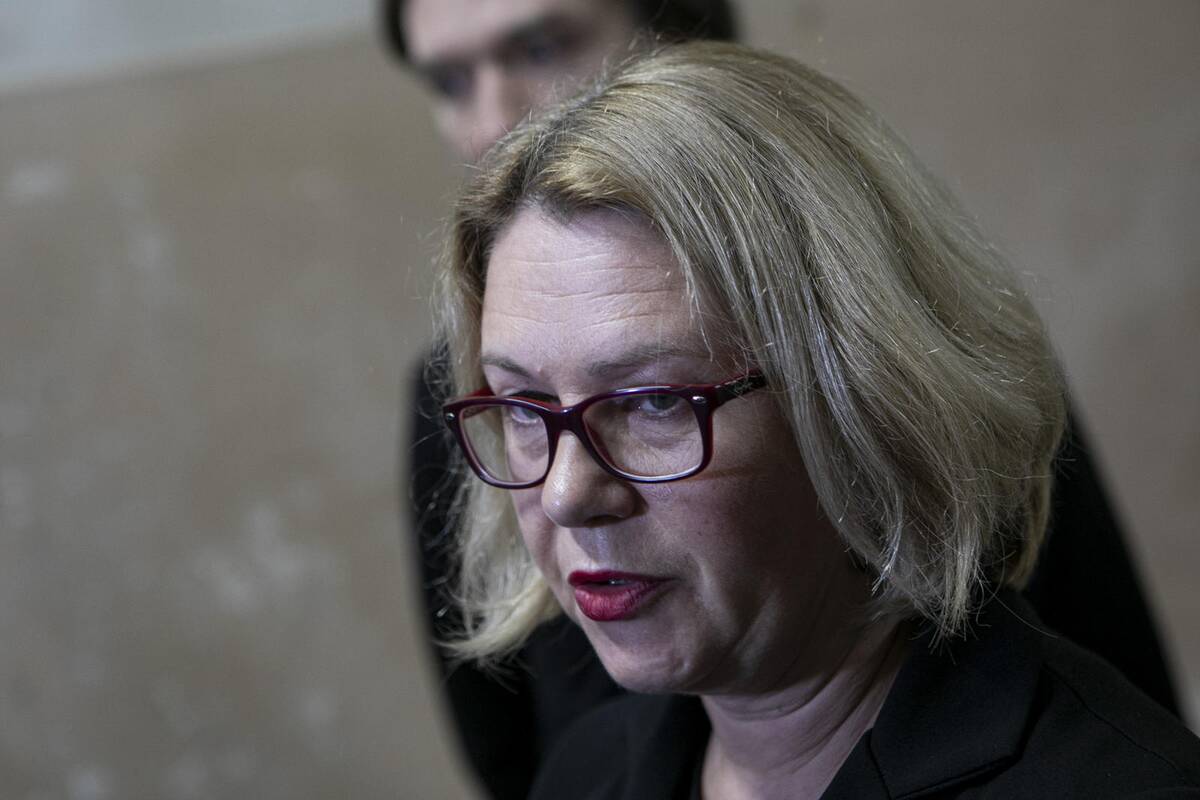 Parodos „Pažadinti: Gedimino kalne rastų sukilėlių istorija“ pristatymas