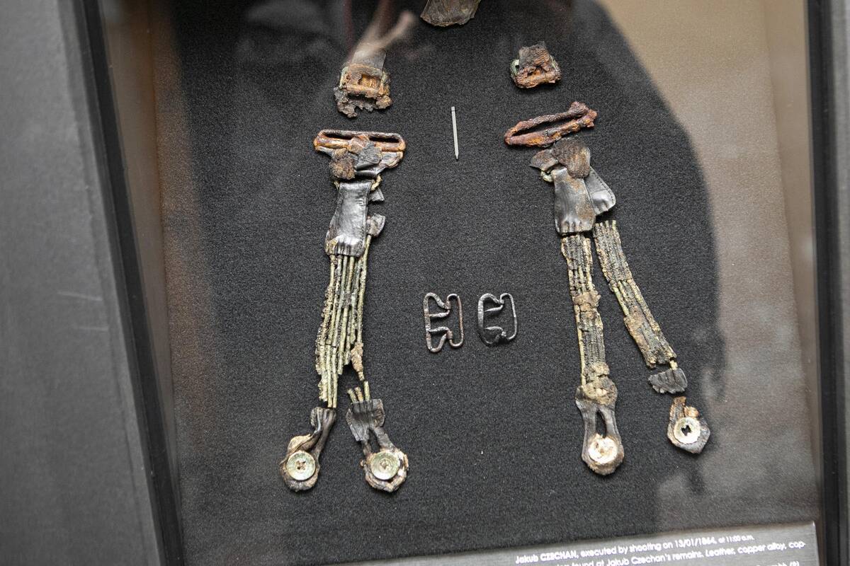 Parodos „Pažadinti: Gedimino kalne rastų sukilėlių istorija“ pristatymas