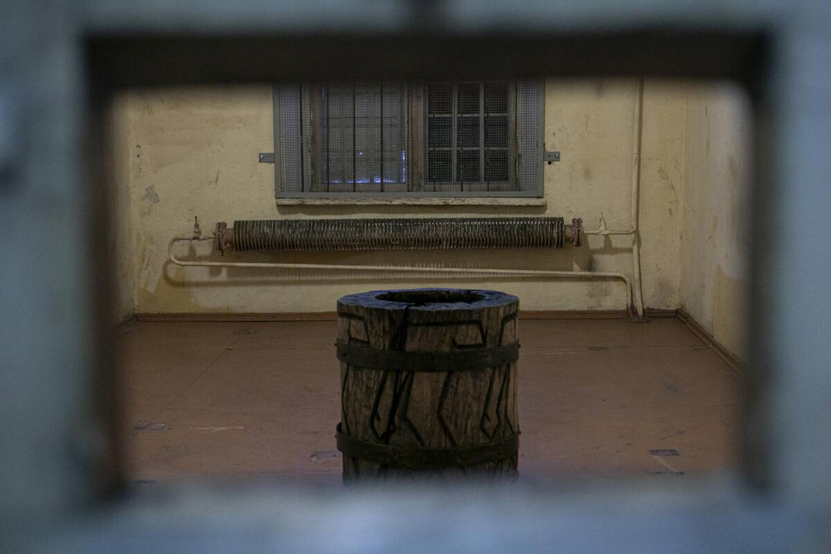 Parodos „Pažadinti: Gedimino kalne rastų sukilėlių istorija“ pristatymas