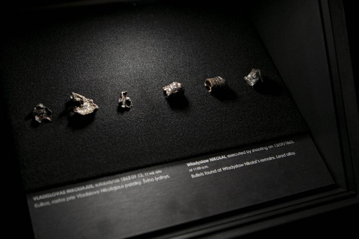 Parodos „Pažadinti: Gedimino kalne rastų sukilėlių istorija“ pristatymas