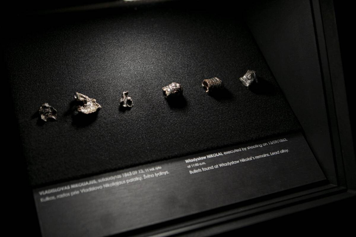 Parodos „Pažadinti: Gedimino kalne rastų sukilėlių istorija“ pristatymas