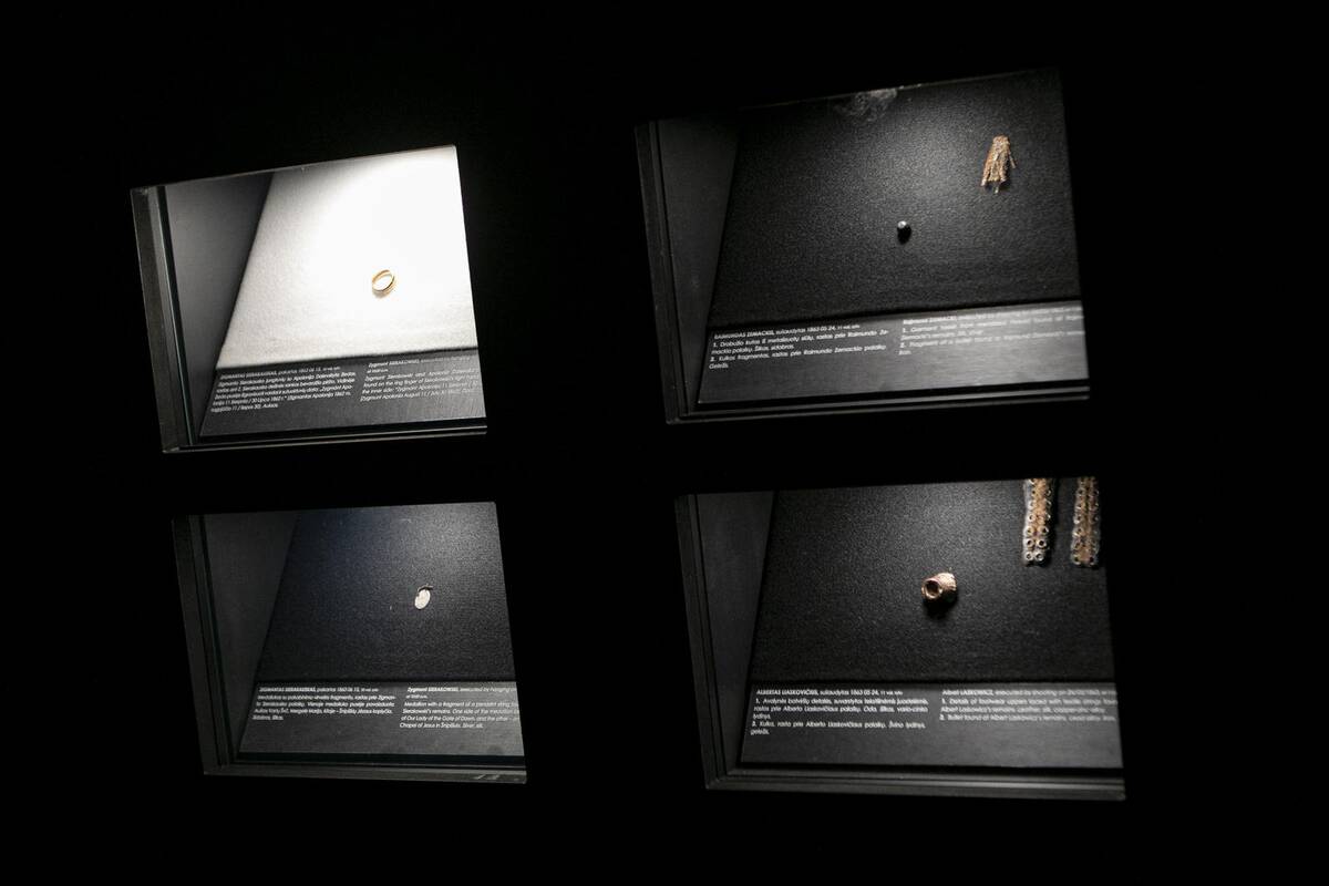 Parodos „Pažadinti: Gedimino kalne rastų sukilėlių istorija“ pristatymas