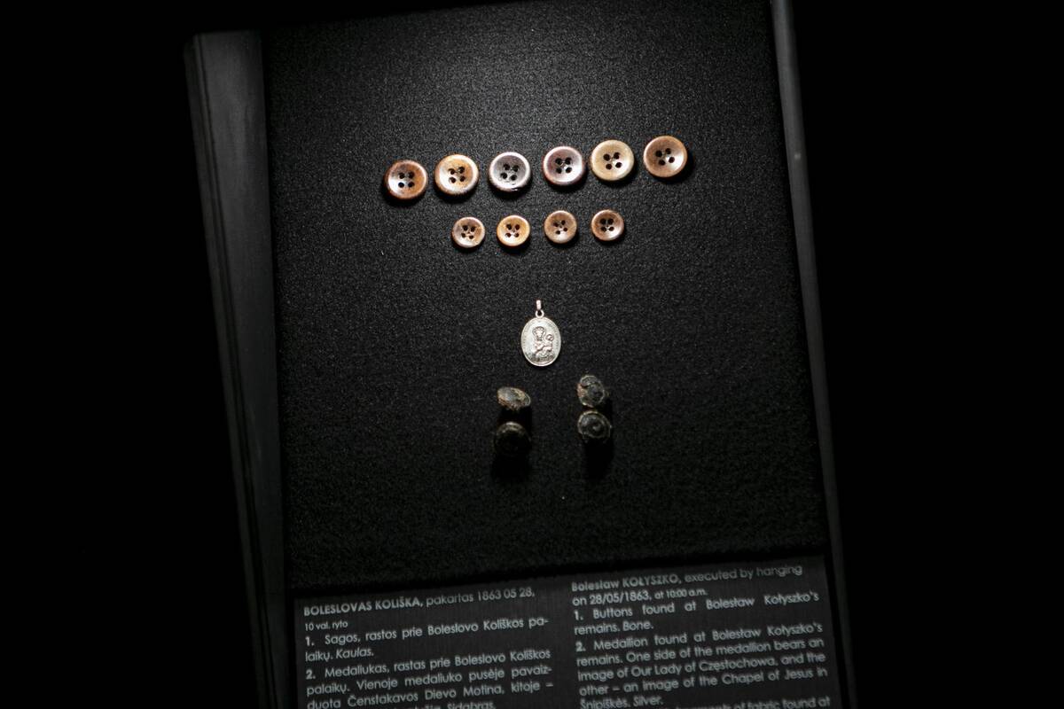 Parodos „Pažadinti: Gedimino kalne rastų sukilėlių istorija“ pristatymas