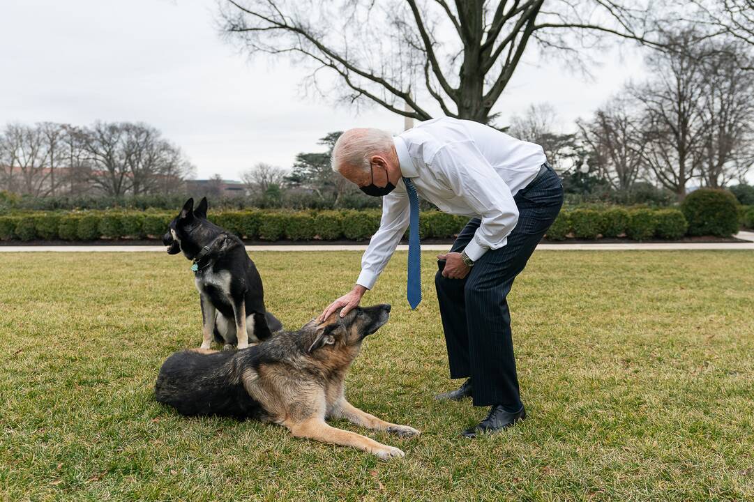 Joe Bidenas