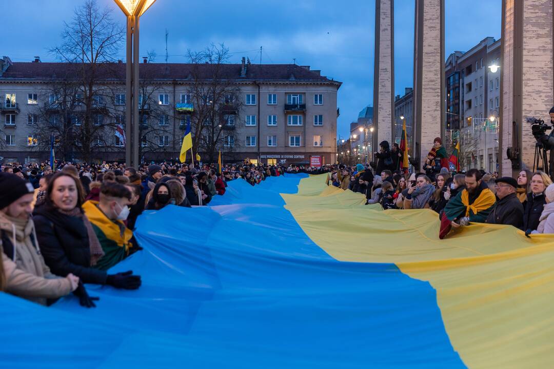 KAM: Lietuva perduos Ukrainai automatinių šautuvų ir šovinių