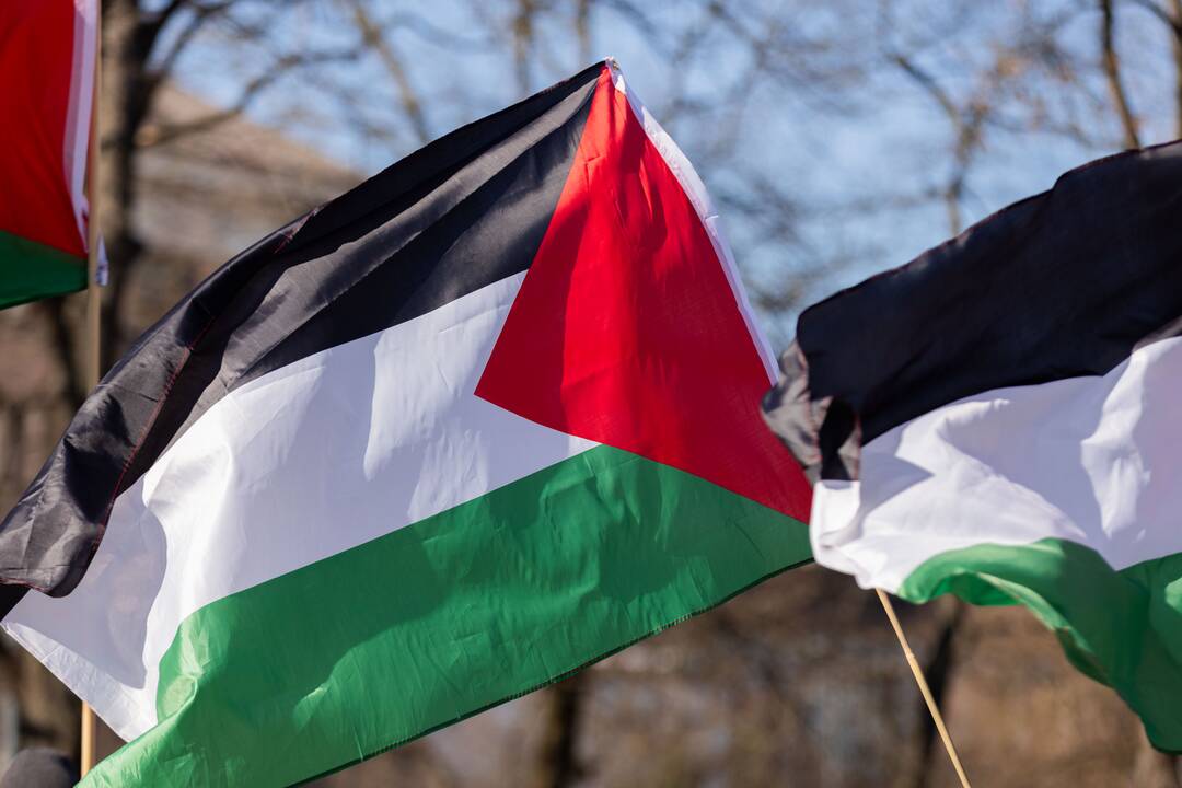 Palestinos palaikymo akcija