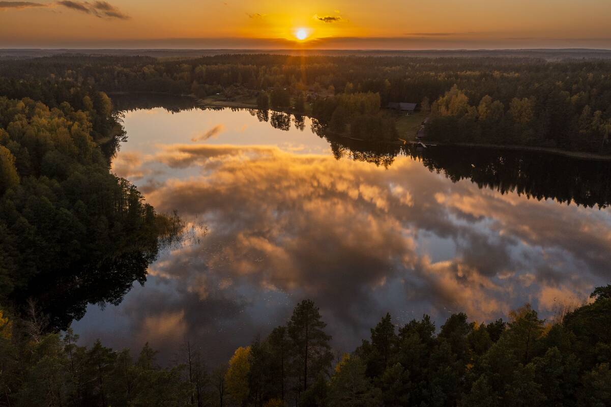 Į saugomų augalų sąrašą įrašytos dvi lietuviškų laukinių orchidėjų rūšys