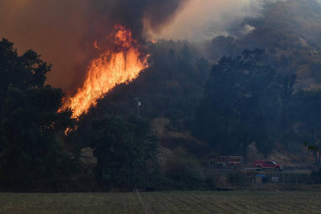 Kalifornijoje siaučia miškų gaisrai