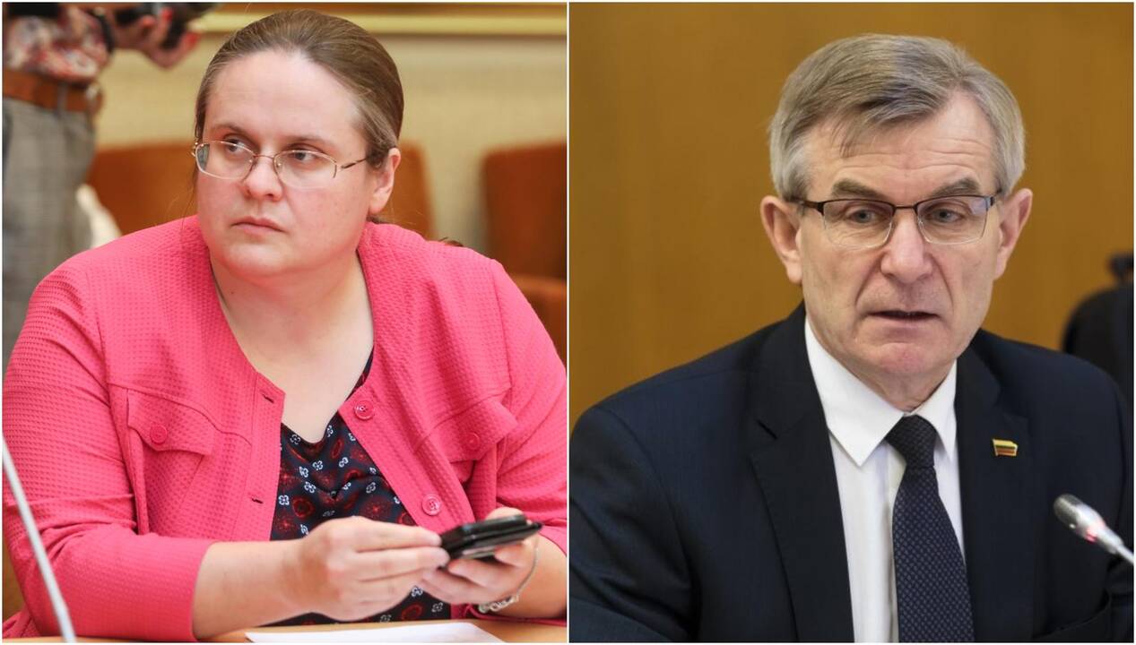 V. Pranckietis kaltinamas veikimu prieš valdančiąją koaliciją
