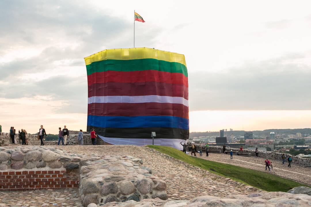 V. Putinas Baltijos šalis laiko silpnąja NATO grandimi?