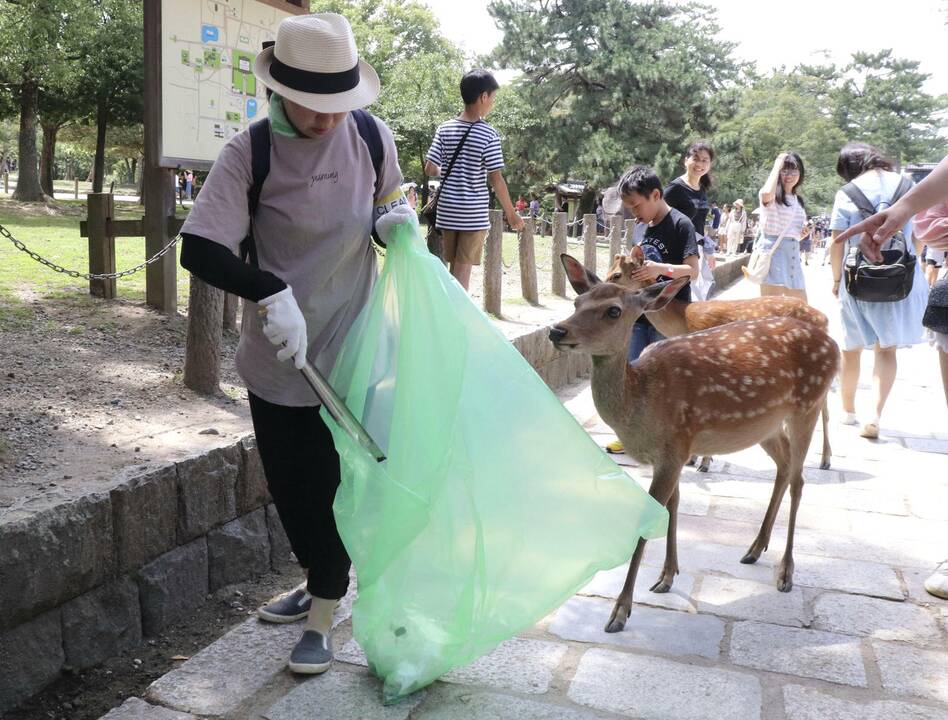 Japonijoje prisiriję plastiko nugaišo devyni elniai