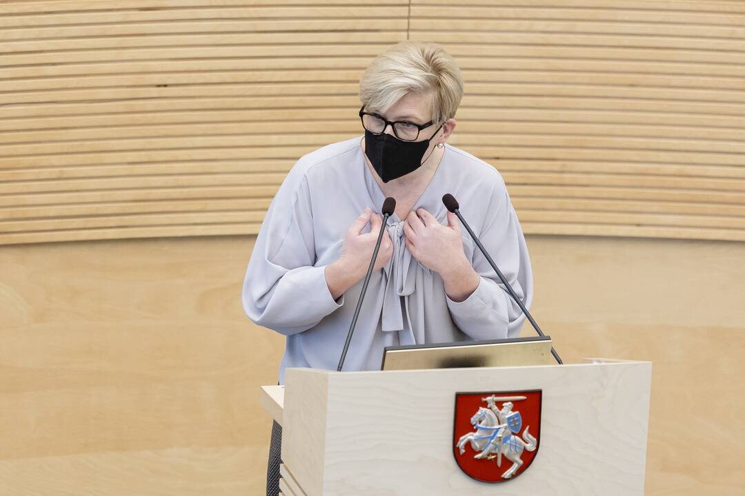 Seimo rytinis posėdis (sausio 11 d.)