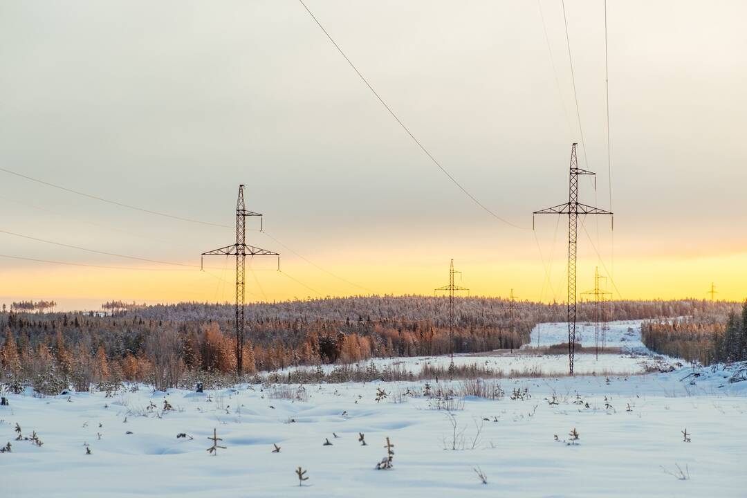 „Litgrid“: elektros kaina pastarąją savaitę augo 36 proc.