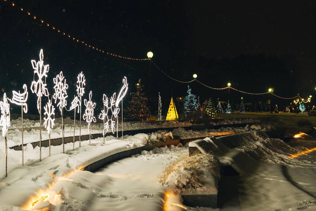 Utenos Kalėdų eglė ir kalėdinių eglučių alėja