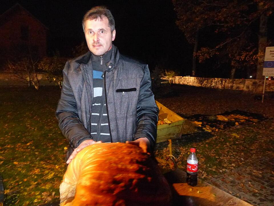 Moliūgų šventė Švėkšnoje