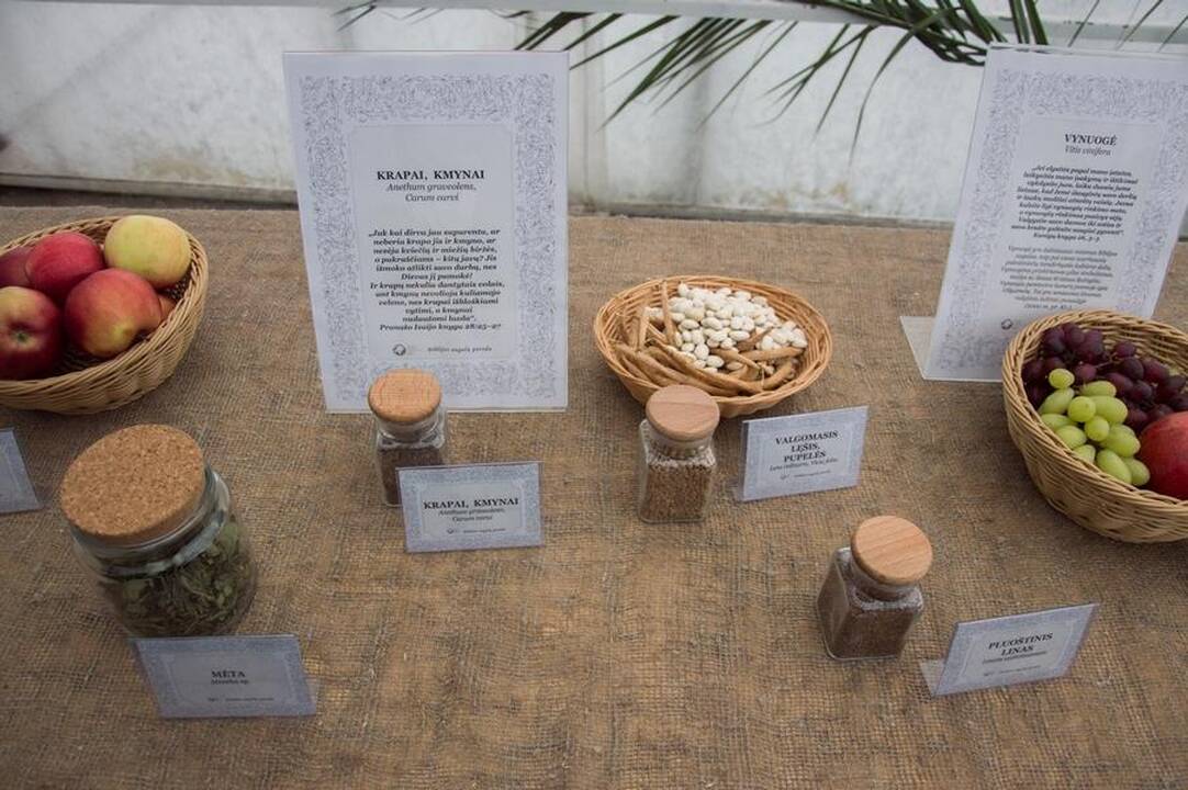 Biblijos augalų paroda