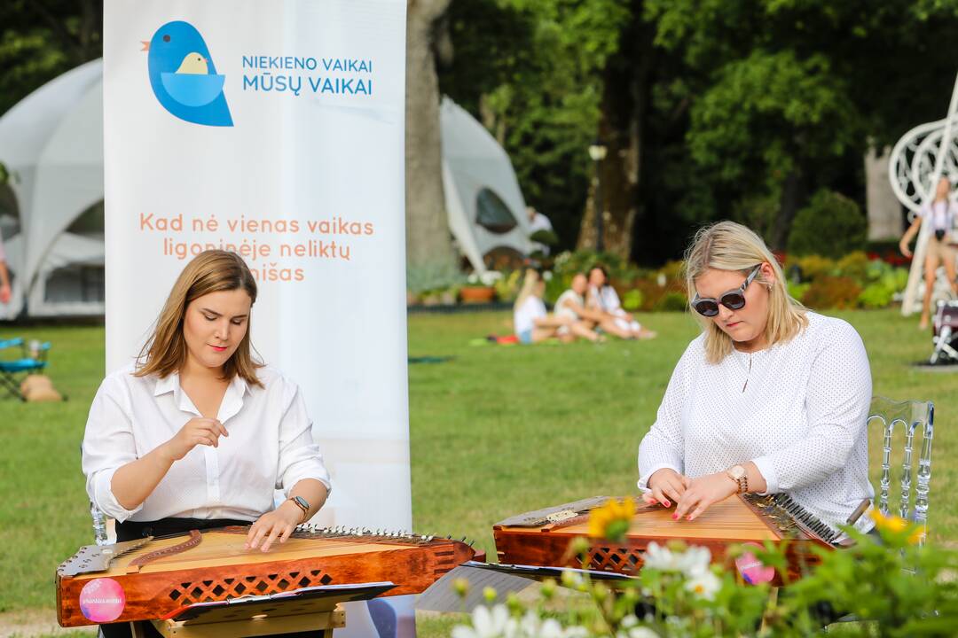 Labdaros vakaras Raudondvario dvaro kiemelyje