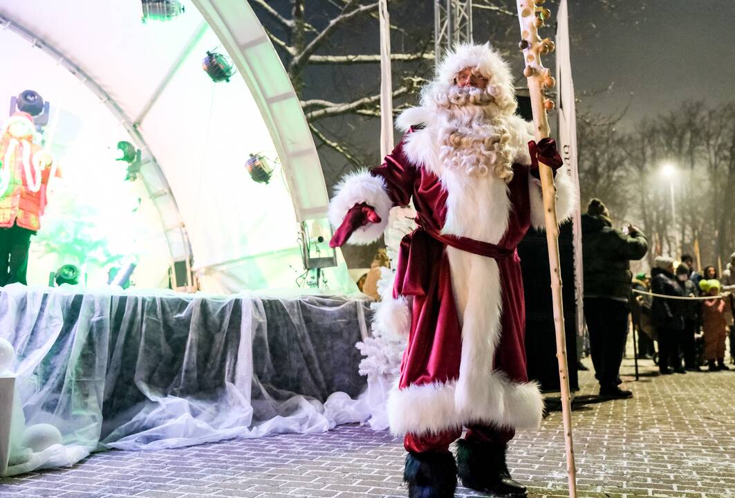 Sužibo pagrindinė Kretingos Kalėdų eglė