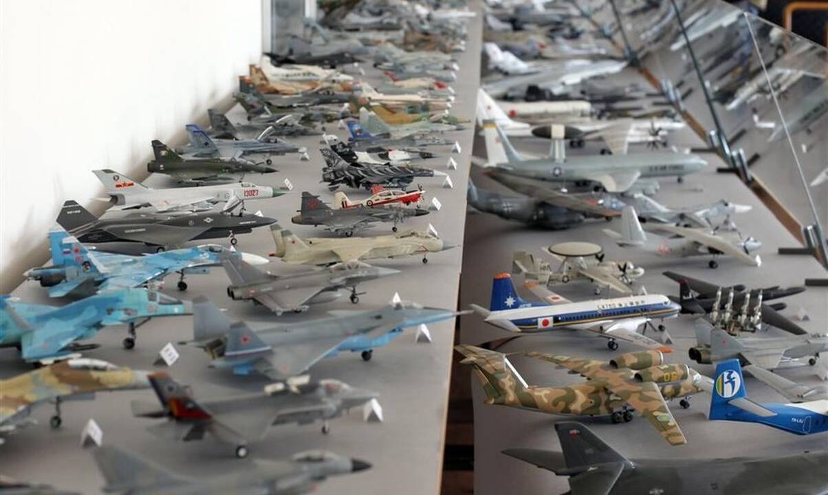 Lietuvos aviacijos muziejui vadovaus istorikė Puidokienė