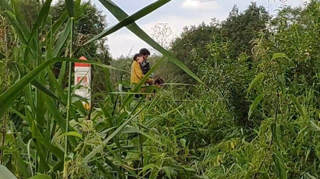 Pasienyje su Baltarusija apgręžta kelios dešimtys asmenų, sulaikyti du žmonės 