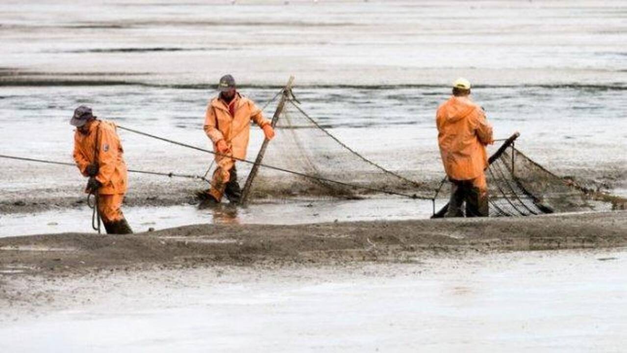 Prezidentei – galvosūkis dėl Žuvininkystės įstatymo
