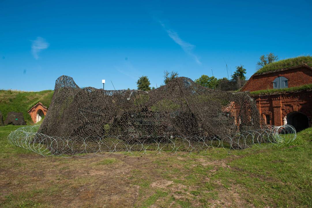 Pratybos VII forte