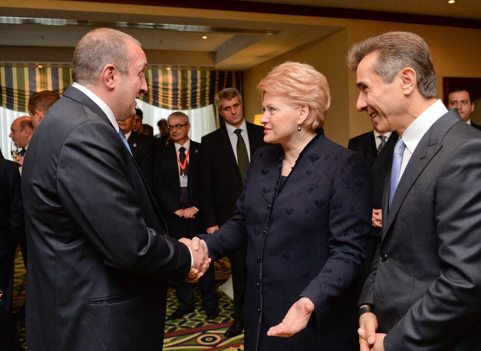 D. Grybauskaitė dalyvavo naujai išrinkto Gruzijos Prezidento G. Margvelašvilio inauguracijoje