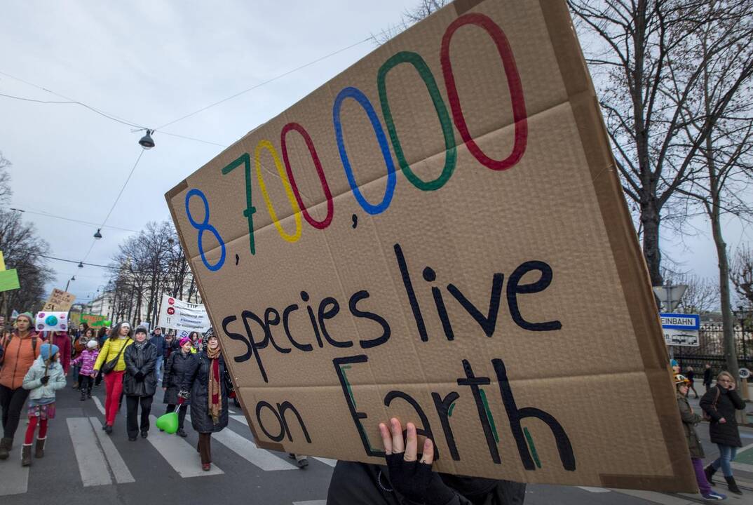 Pasaulinis mitingas dėl klimato kaitos