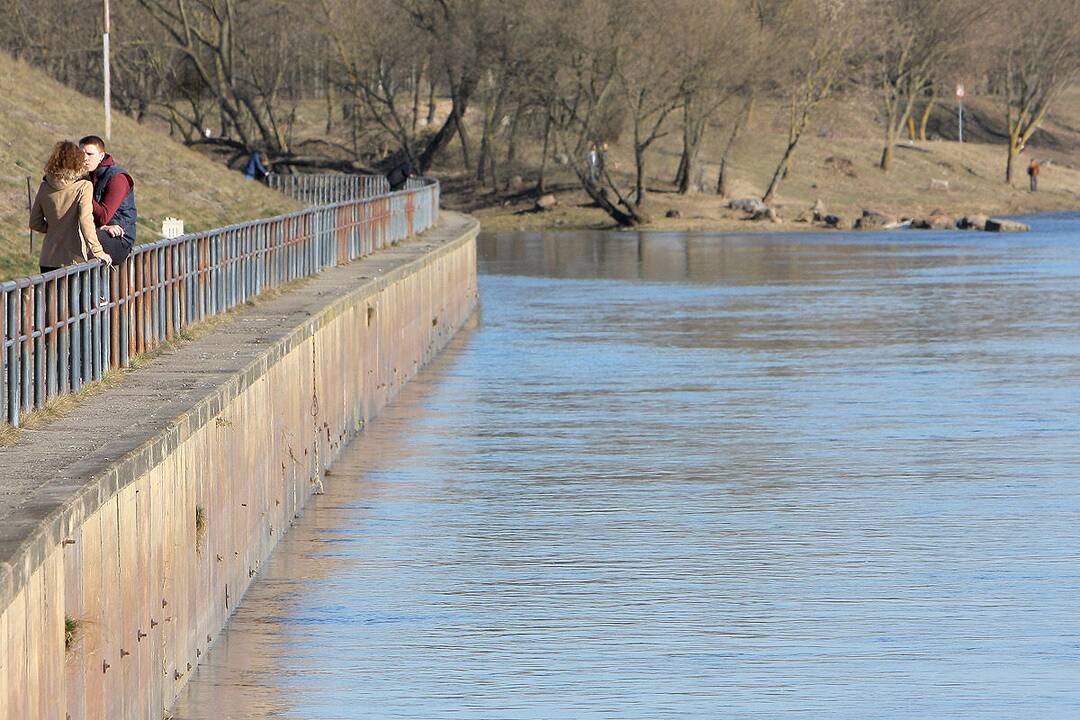 Į lauką – gaudyti saulės spindulių