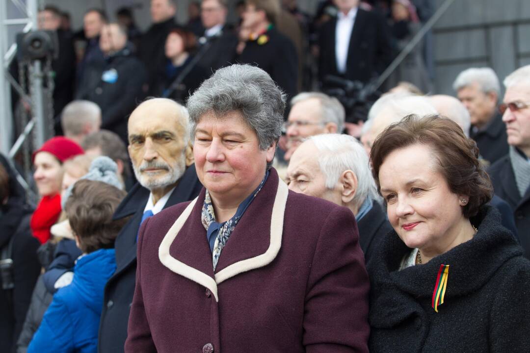Sostinėje suplevėsavo trijų Baltijos valstybių vėliavos