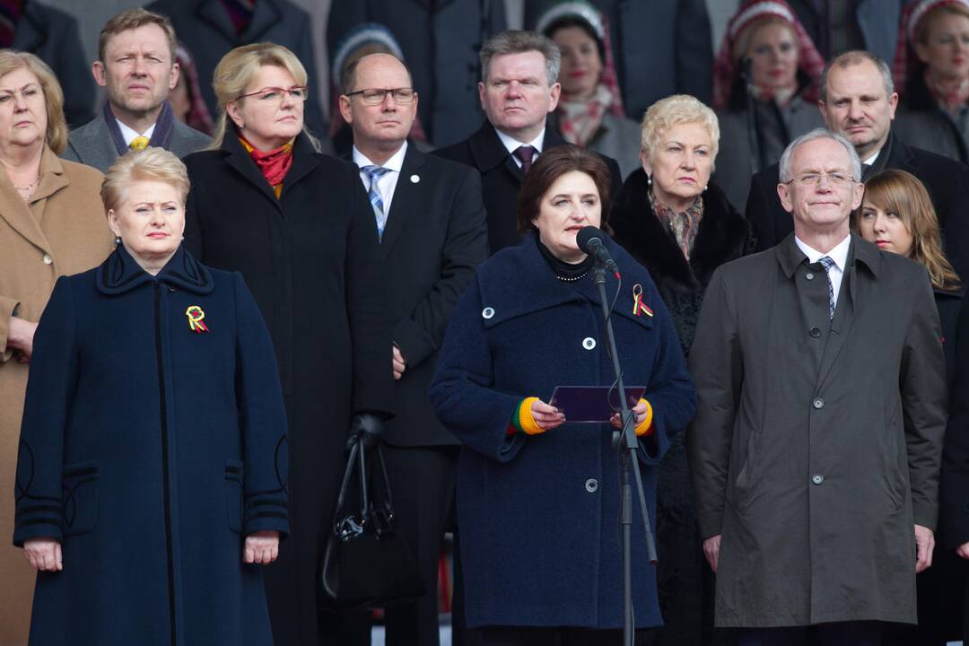 Sostinėje suplevėsavo trijų Baltijos valstybių vėliavos
