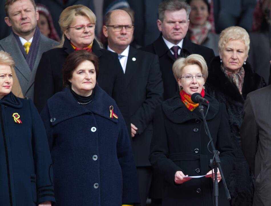 Sostinėje suplevėsavo trijų Baltijos valstybių vėliavos