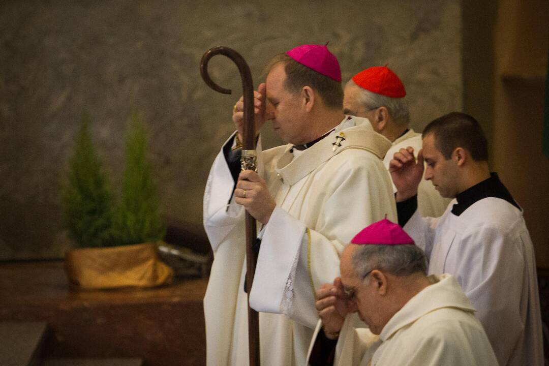 Sostinėje suplevėsavo trijų Baltijos valstybių vėliavos