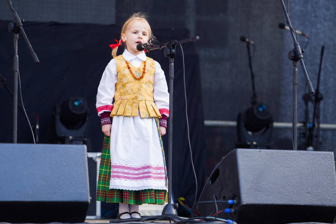Festivalio "Skamba skamba kankliai" atidarymas