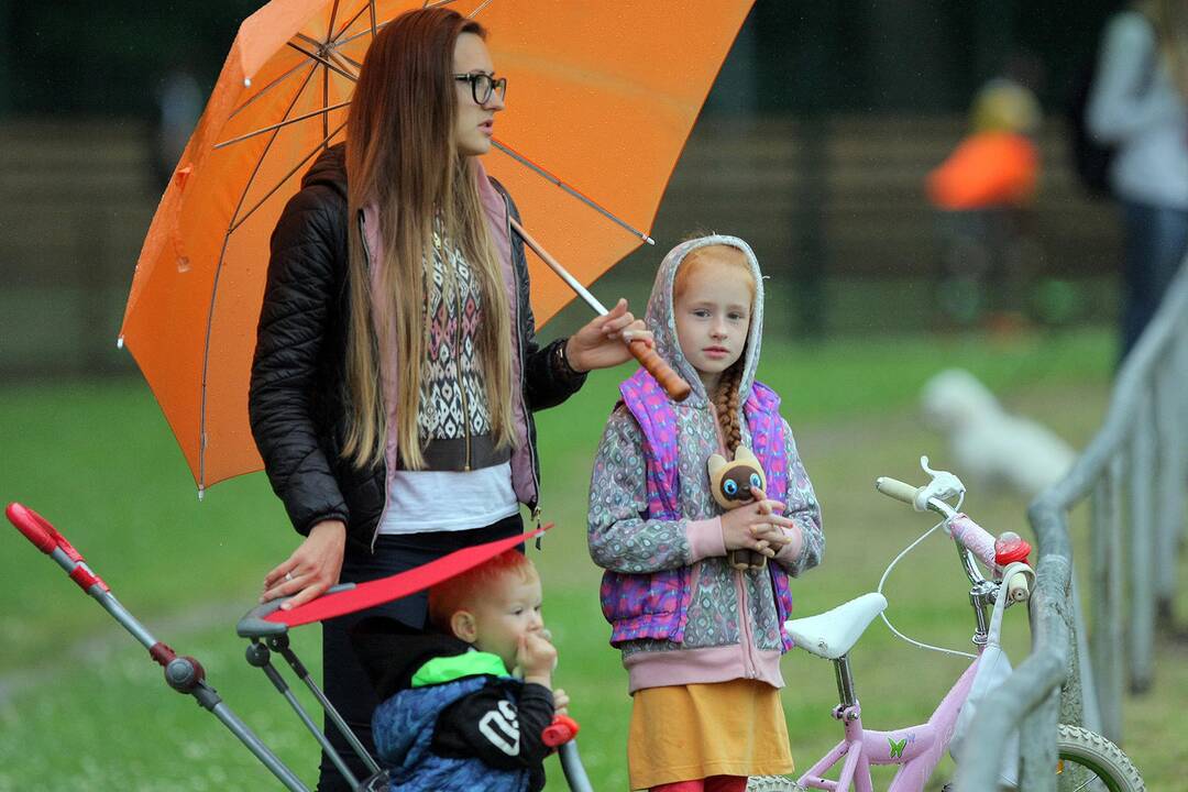 LFF taurė: „Garliava“ – „Trakai“ 0:8