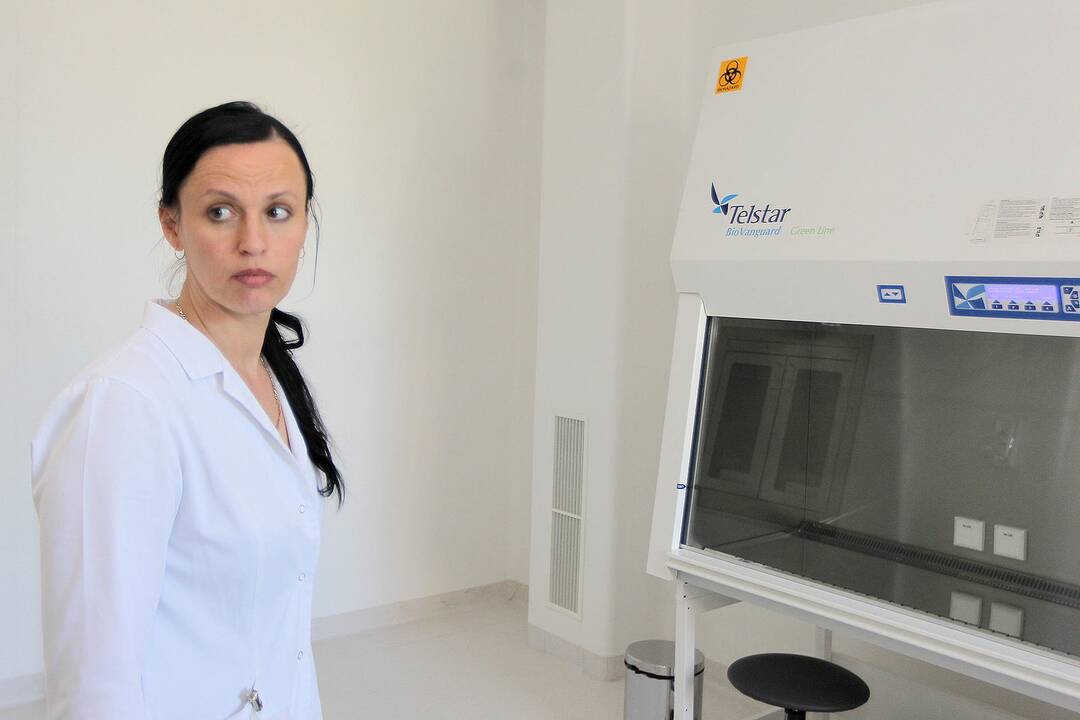 Pristatyti kamieninių ląstelių transplantacijos rezultatai
