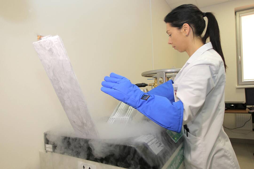 Pristatyti kamieninių ląstelių transplantacijos rezultatai