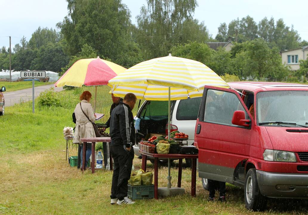 Batniavos seniūnija