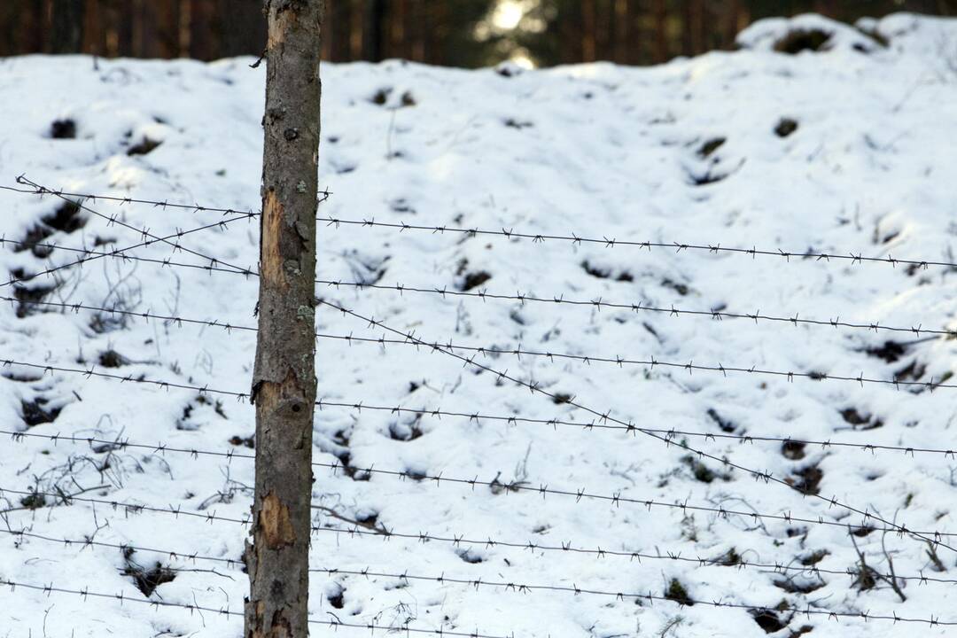 Baltarusijos pasienyje