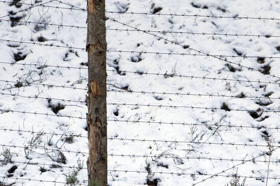 Baltarusijos pasienyje