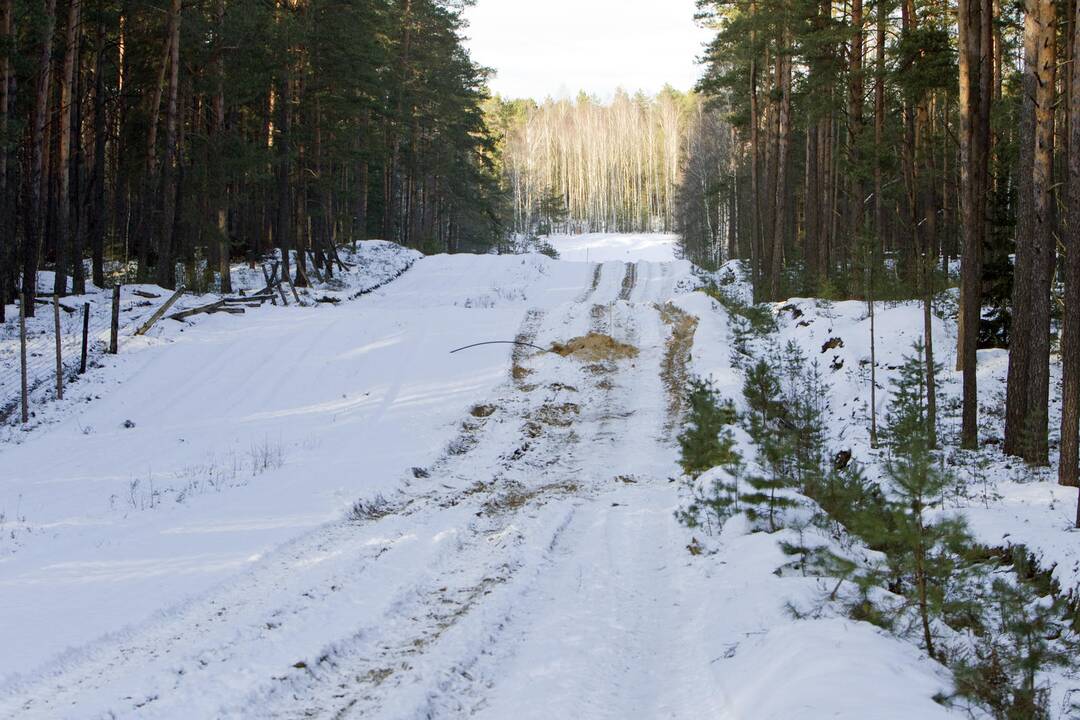 Baltarusijos pasienyje