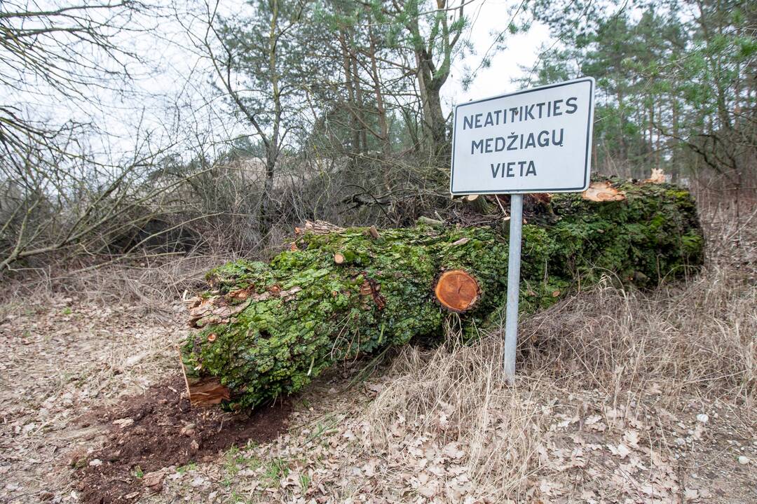 Zapyškio asfaltbetonio bazė 