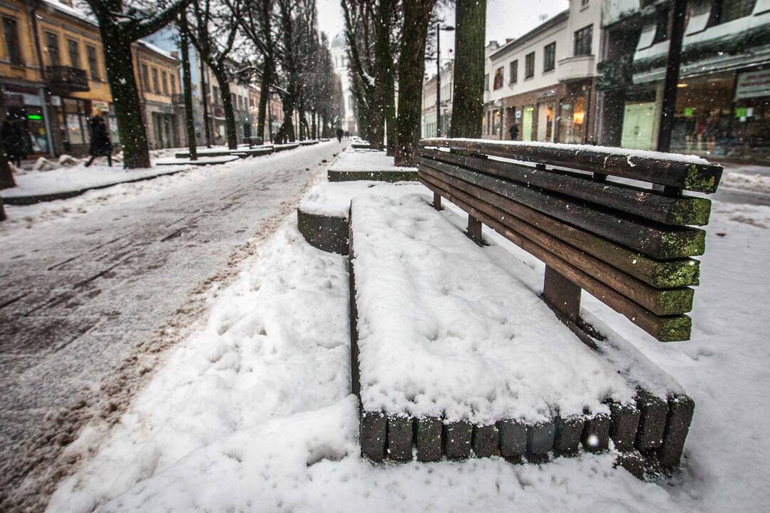 Kaune vėl sninga