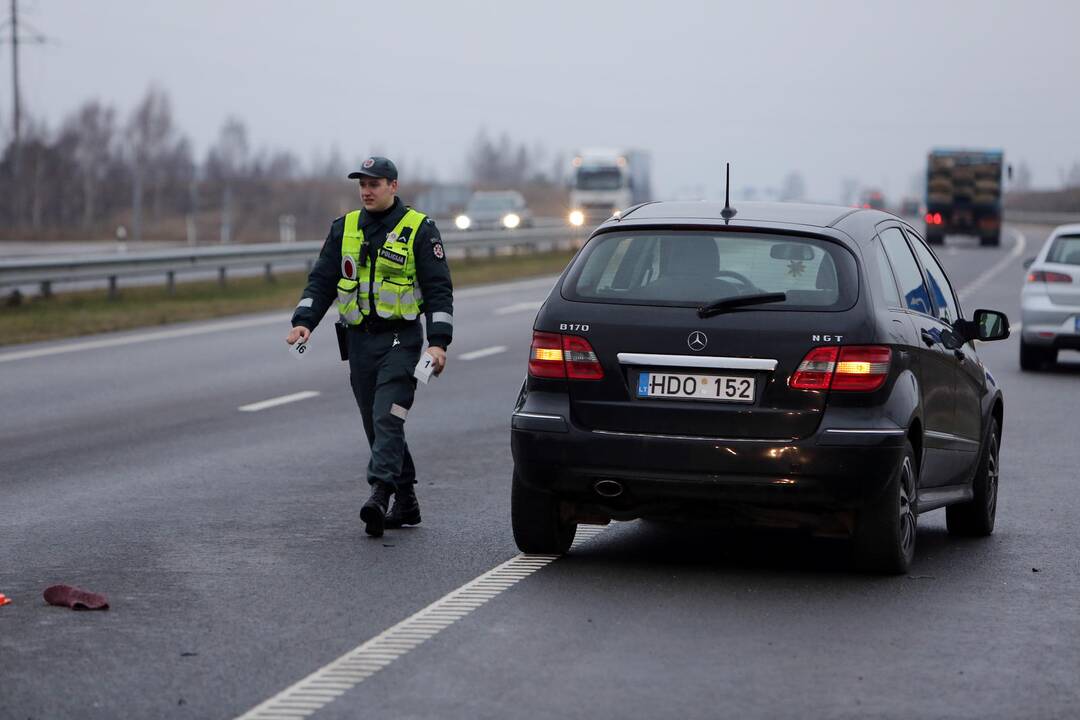 Palangos plente žuvo dviratininkas